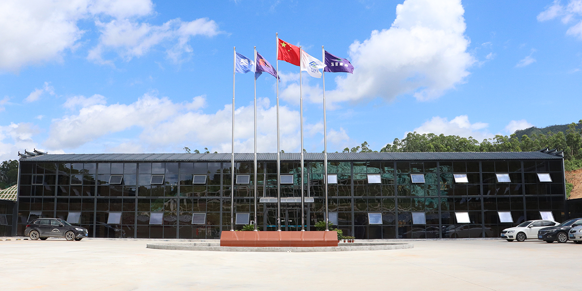 Activity house